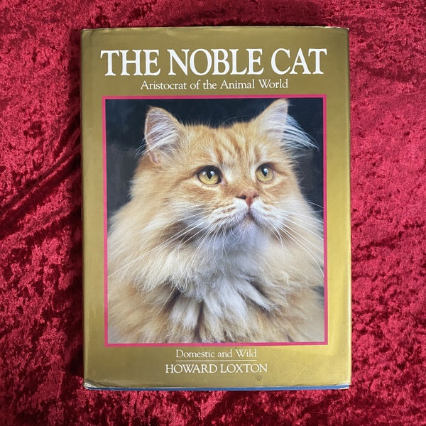 The Noble Cat | Aristocrat of the Animal World | Domestic and Wild