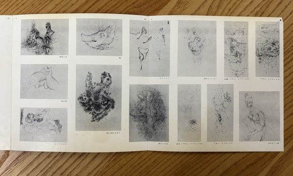 ハンス・ベルメール展 パンフレット