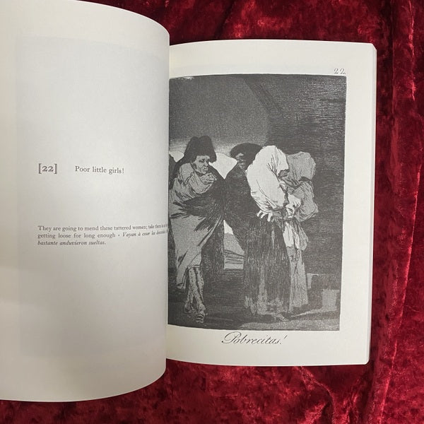 Los Caprichos 洋書