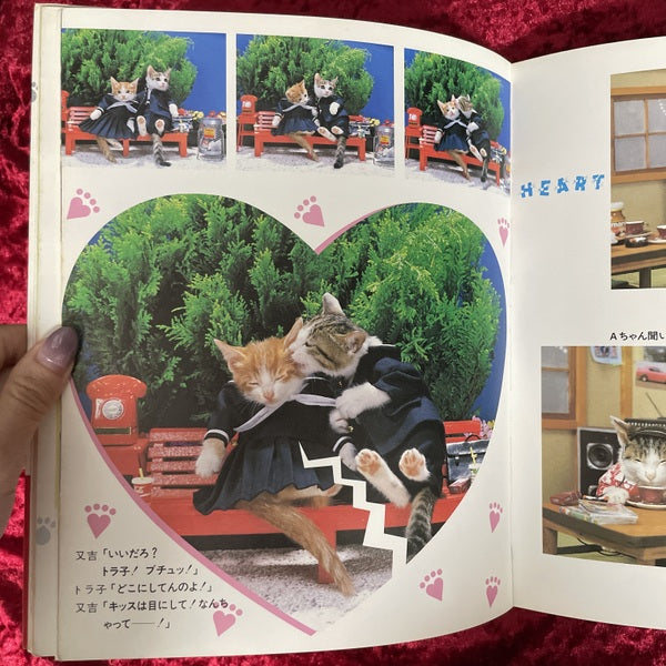 なめんなよ : 又吉のかっとびアルバム
