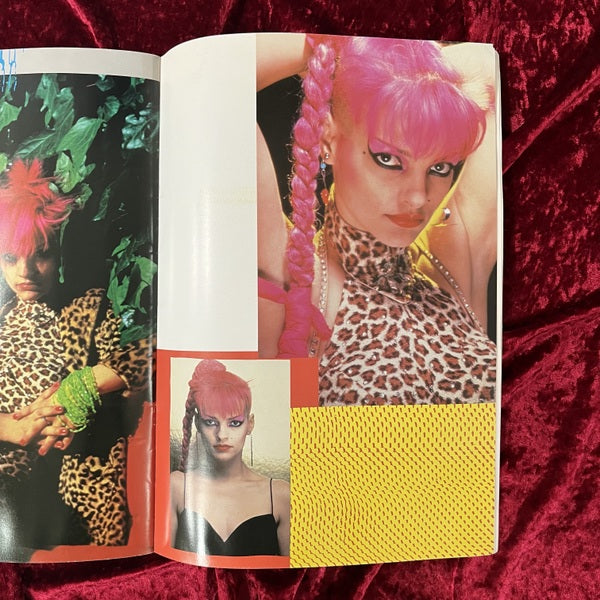 ニナ・ハーゲン来日公演パンフレット NINA HAGEN JAPAN TOUR ’85