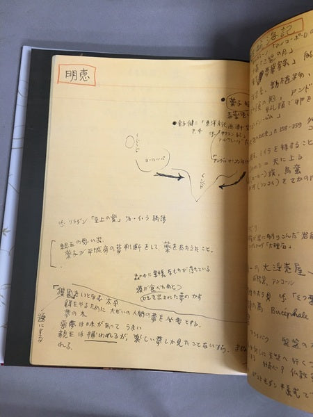 澁澤龍彦 夢の博物館