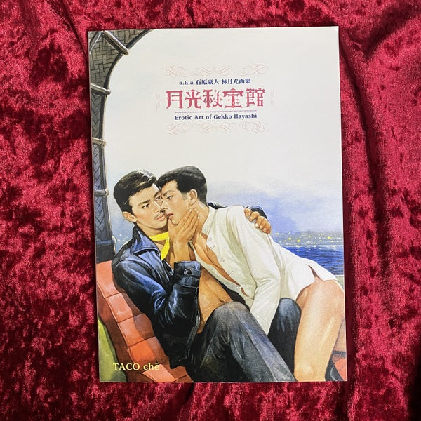 月光秘宝館 石原豪人 林月光画集