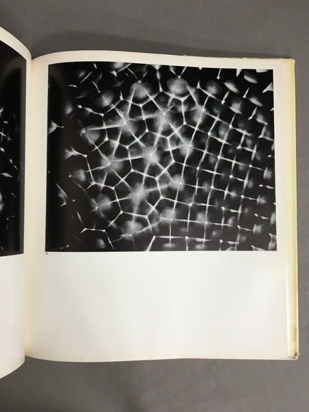 KYMATIK wallen und ashwingunden mit ihrer struktur und dynamik 著:Hans Jenny