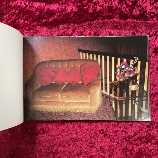Vakat : Nan Goldin / Sartorius Joachim 洋書 ナン・ゴールディン・ヨアヒム・サルトリウス