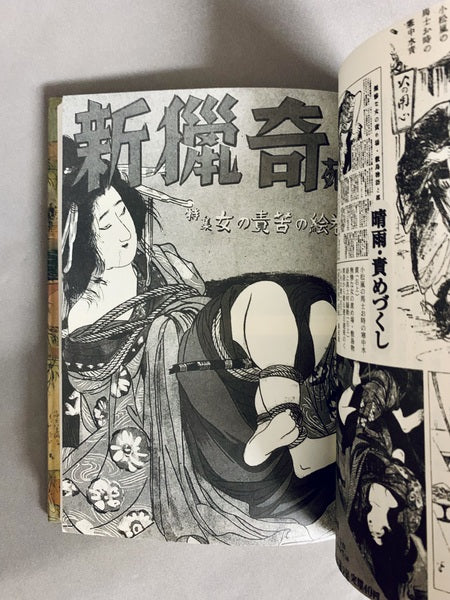 伝奇・伊藤晴雨 著:斎藤夜居