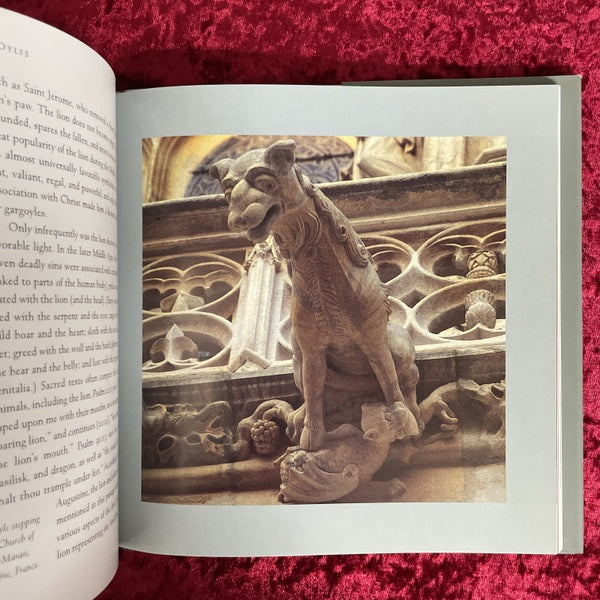 Holy Terrors: Gargoyles on Medieval Buildings 洋書