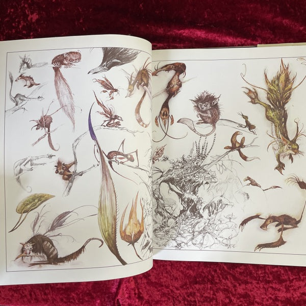 THE WORLD OF THE DARK CRYSTAL 洋書