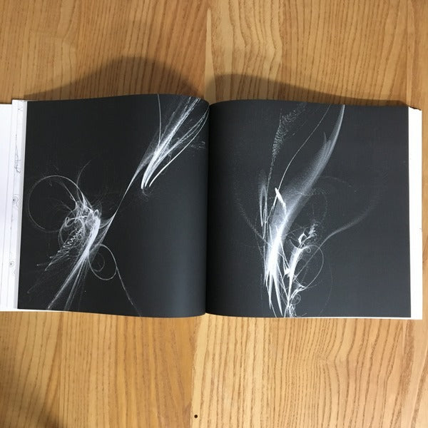 イマジナリー・ナンバーズ コンピュータによるヴィジュアル・プログラミング・ラボラトリー