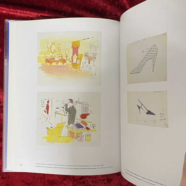 Andy Warhol: Dark Star 洋書