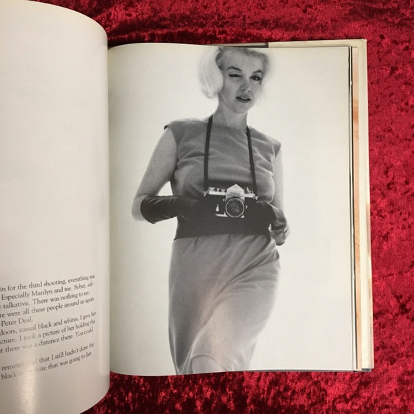 The Last Sitting 洋書