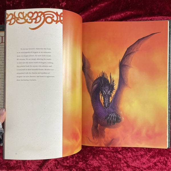 The Book Of The Dragon 洋書