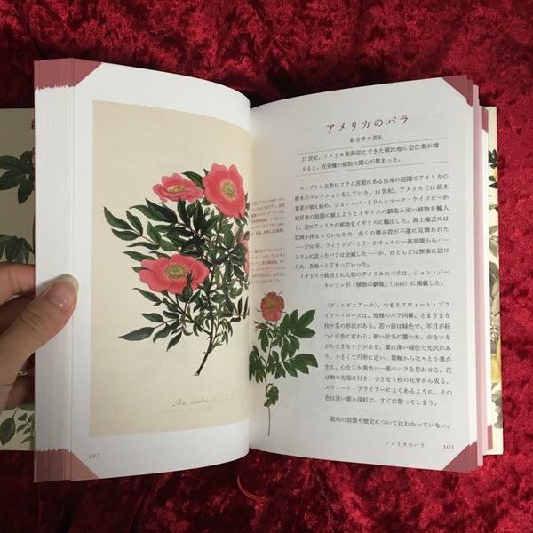 図説 バラの博物百科