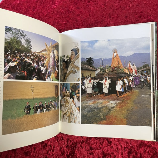 The Cult of the Virgin: Offerings, Ornaments and Festivals 洋書