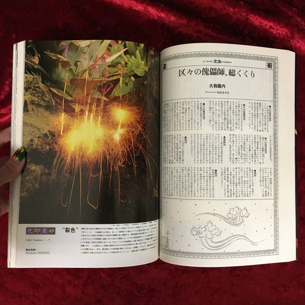 遊 音界 生命界 1008