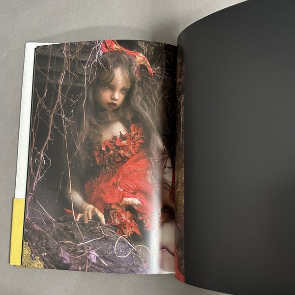 天野可淡 復活譚