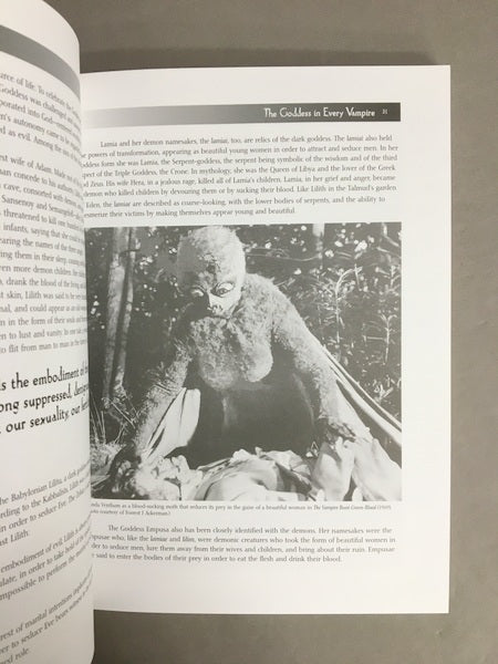 VAMPS 女吸血鬼とファム・ファタール 洋書