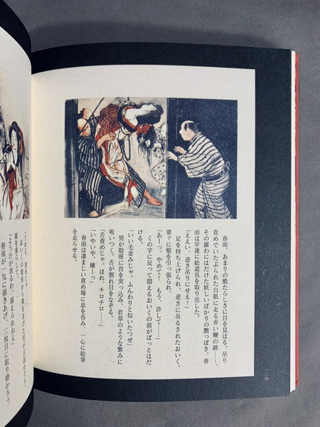 晴雨秘帖 著:伊藤晴雨 限定・豪華愛蔵版