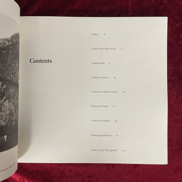 Looking at Death 洋書