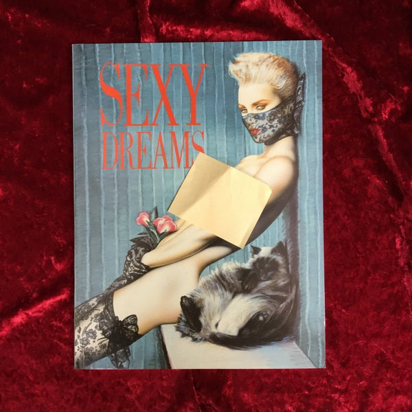 Sexy Dreams 洋書