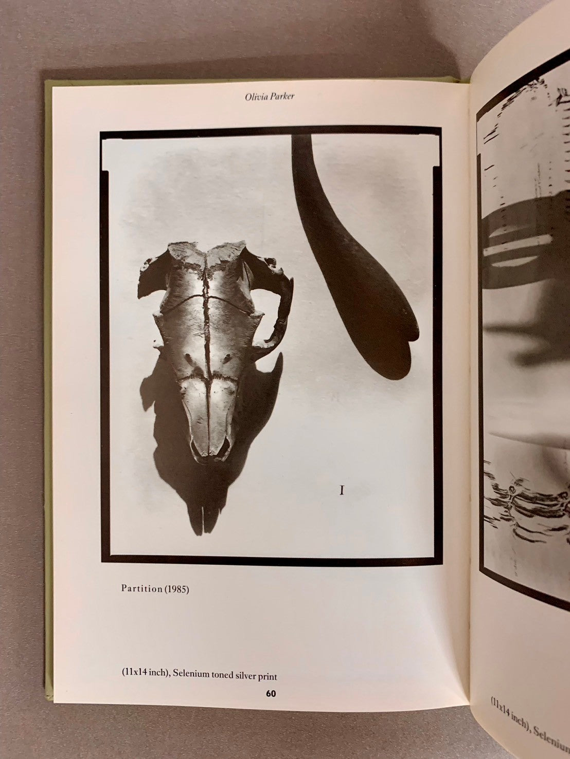 GROTESQUE Natural Historical & Formaldehyde グロテスクな標本写真 洋書