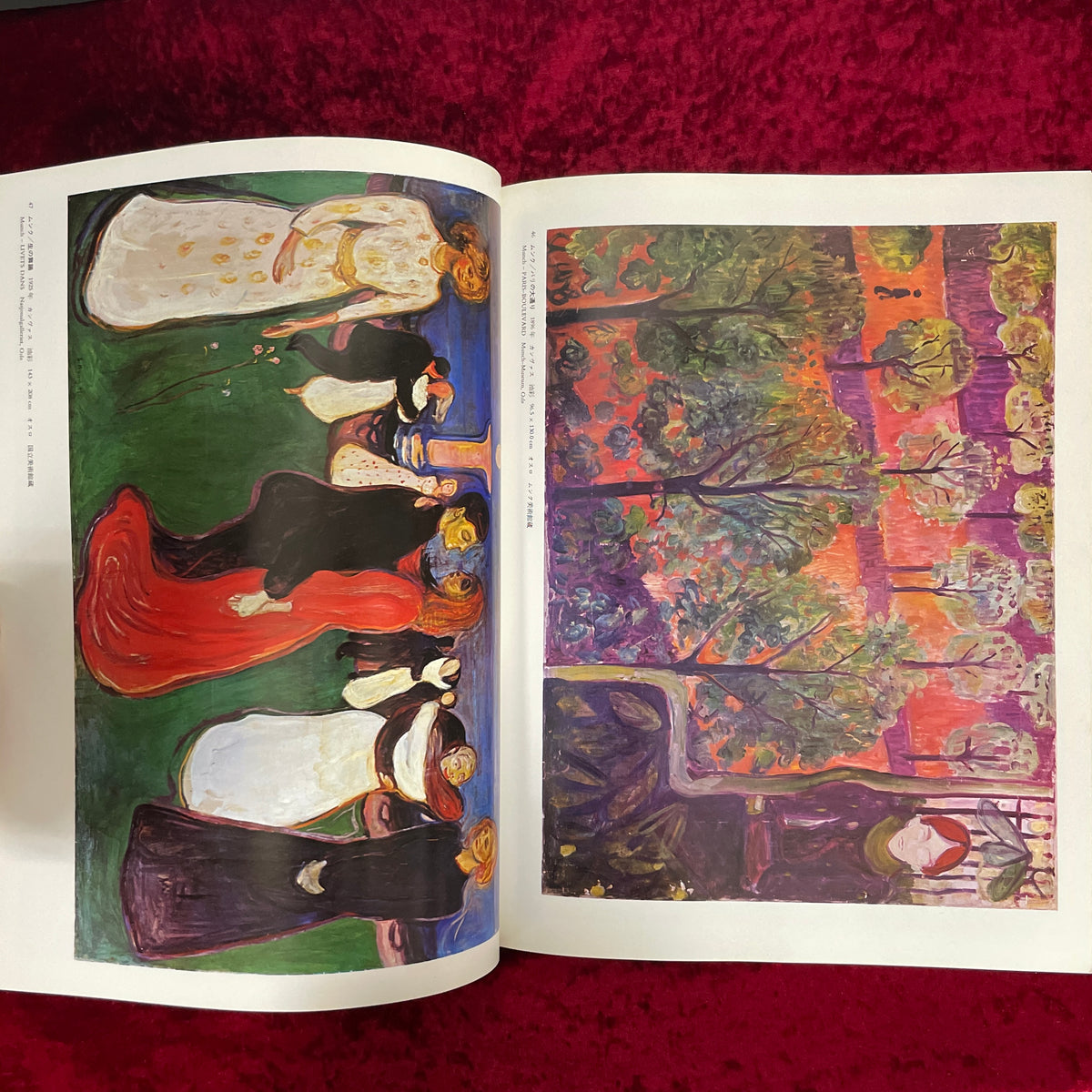カンヴァス世界の名画 ムンクとルドン 世紀末の幻想 13