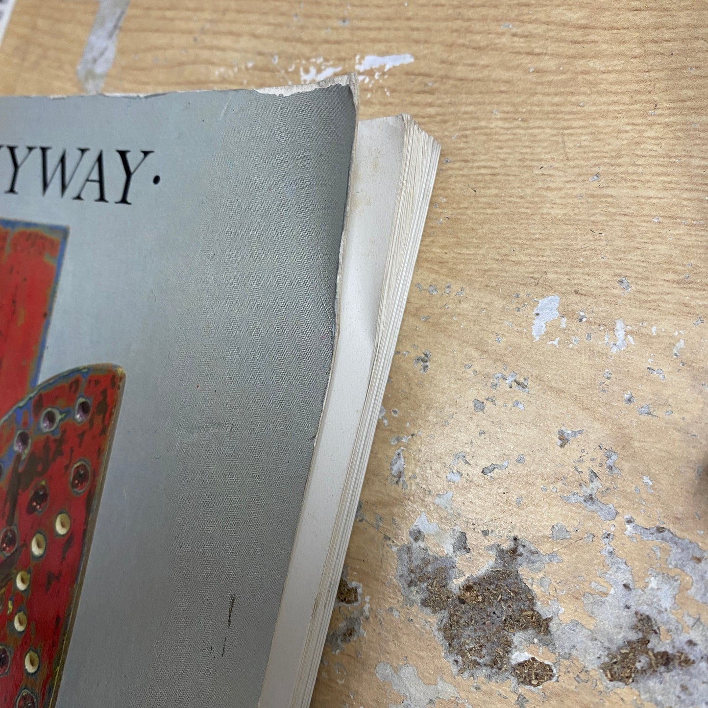 HALLELUJAH ANYWAY 洋書