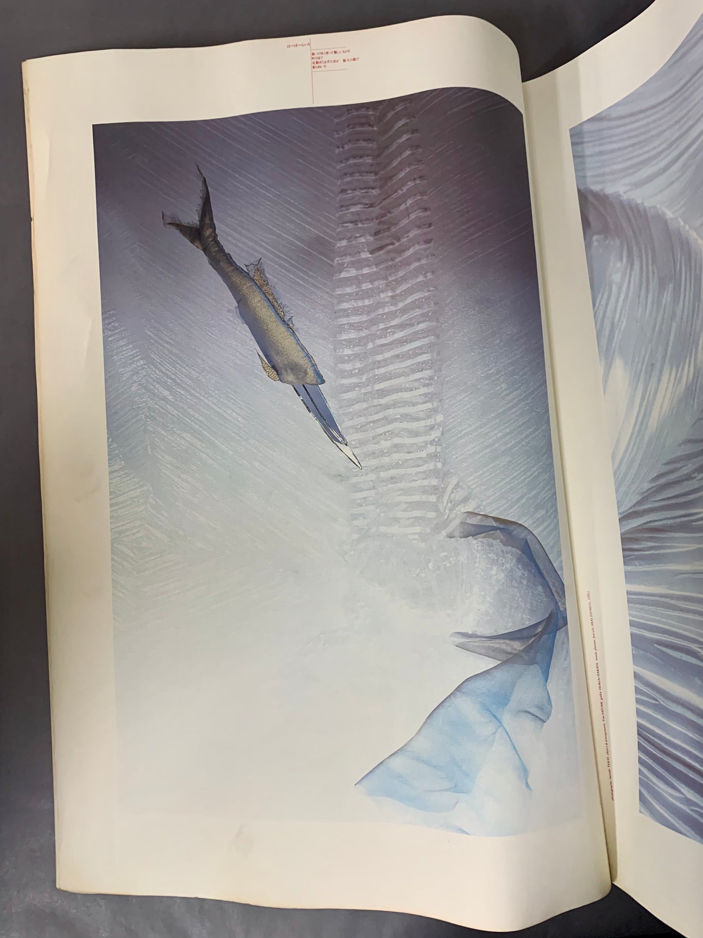 STAR DUST RANDEZ-VOUS スターダスト・ランデヴー 井上陽水&安全地帯 デザイン:羽良多平吉