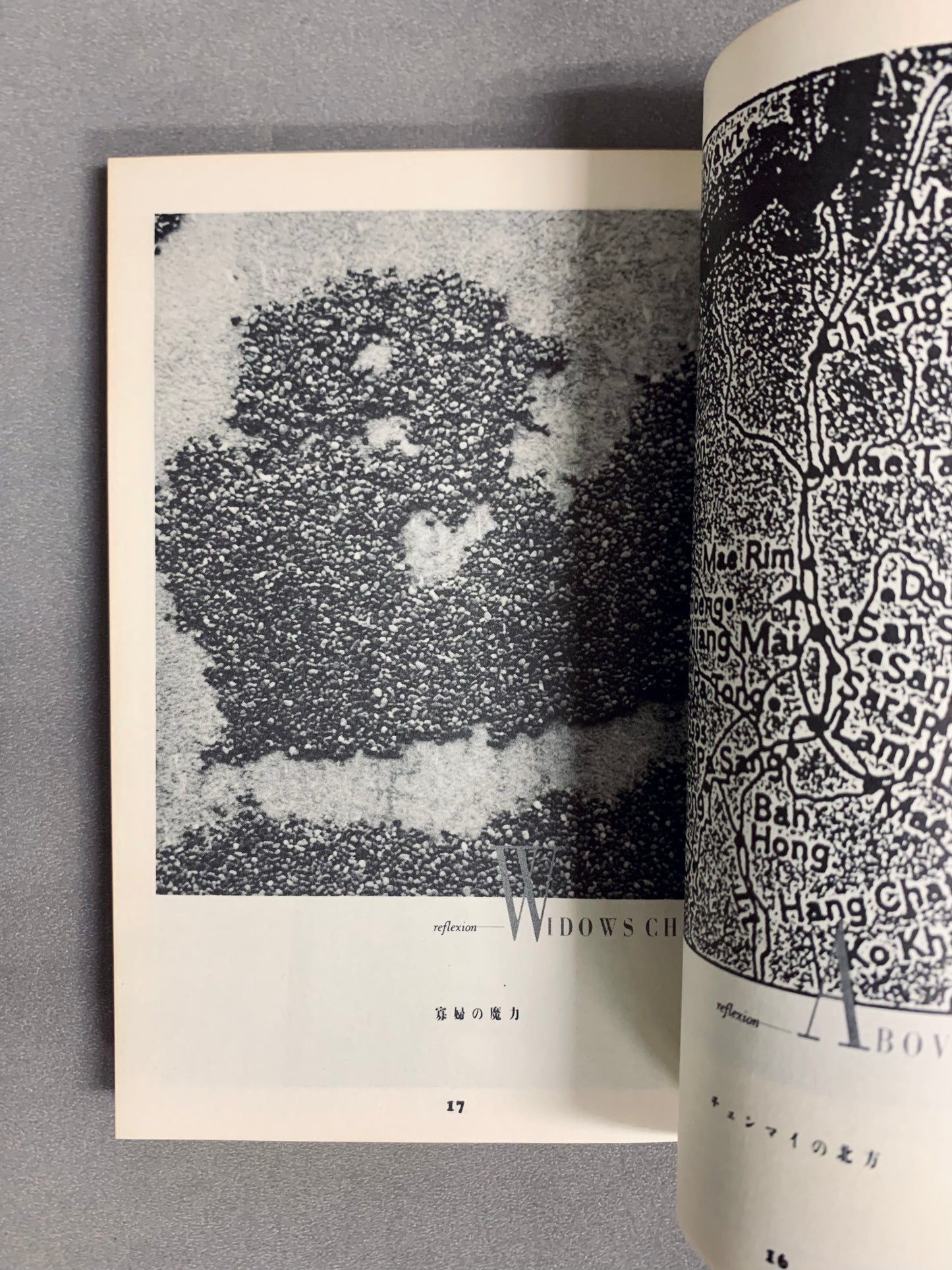 69 PAGES for HAROLD BUDD ハロルド・バッド デザイン:羽良多平吉+ダブレクシィー