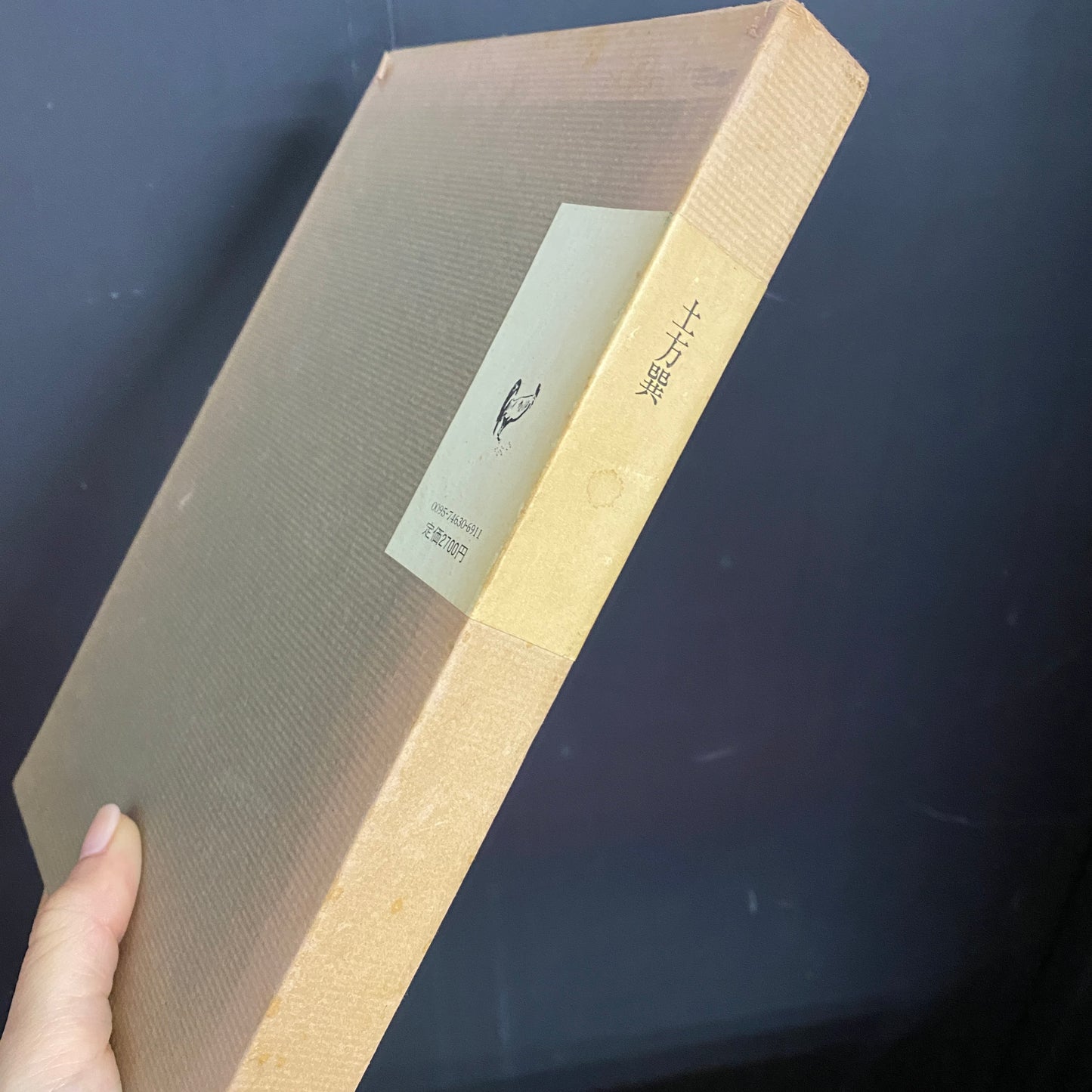 病める舞姫 限定復刻版