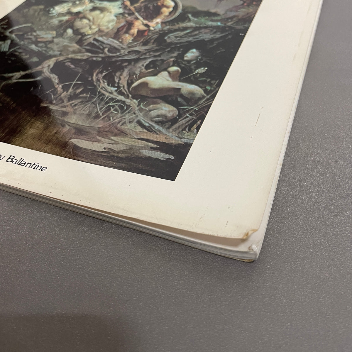 THE FANTASTIC ART OF FRANK FRAZETTA / FRANK FRAZETTA BOOK TWO / FRANK FRAZETTA BOOK THREE 3冊セット フランク・フラゼッタ 3冊セット