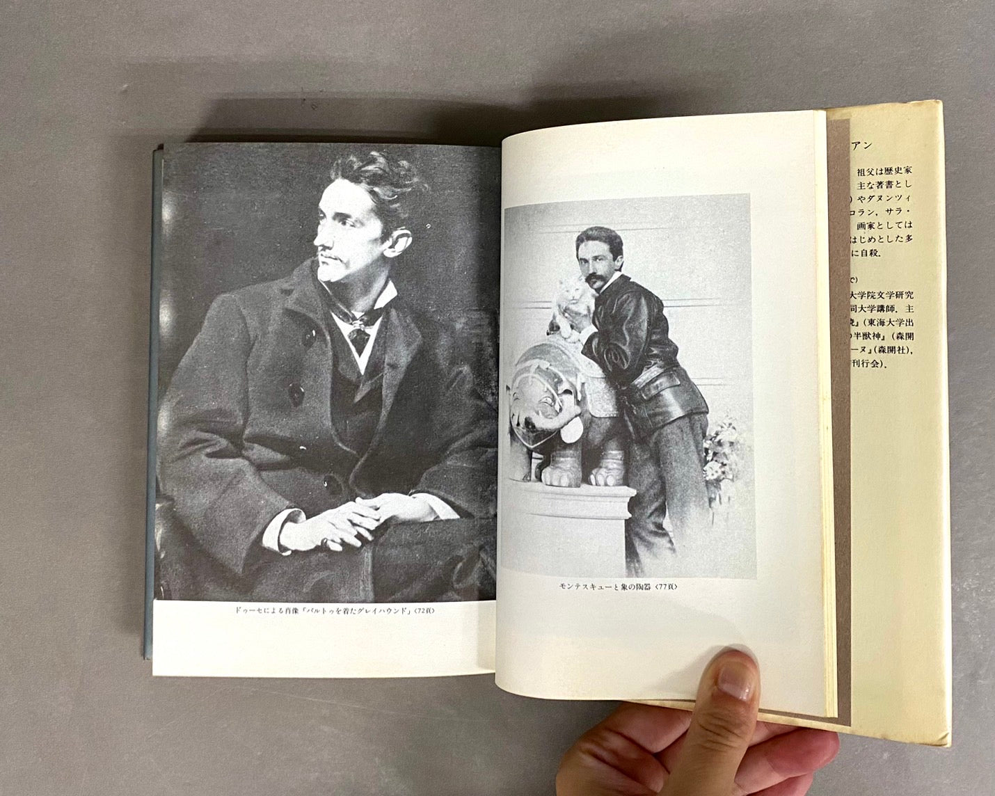 1900年のプリンス 伯爵ロベール・ド・モンテスキュー伝 著:フィリップ・ジュリアン 訳:志村信英 (クラテール叢書5)