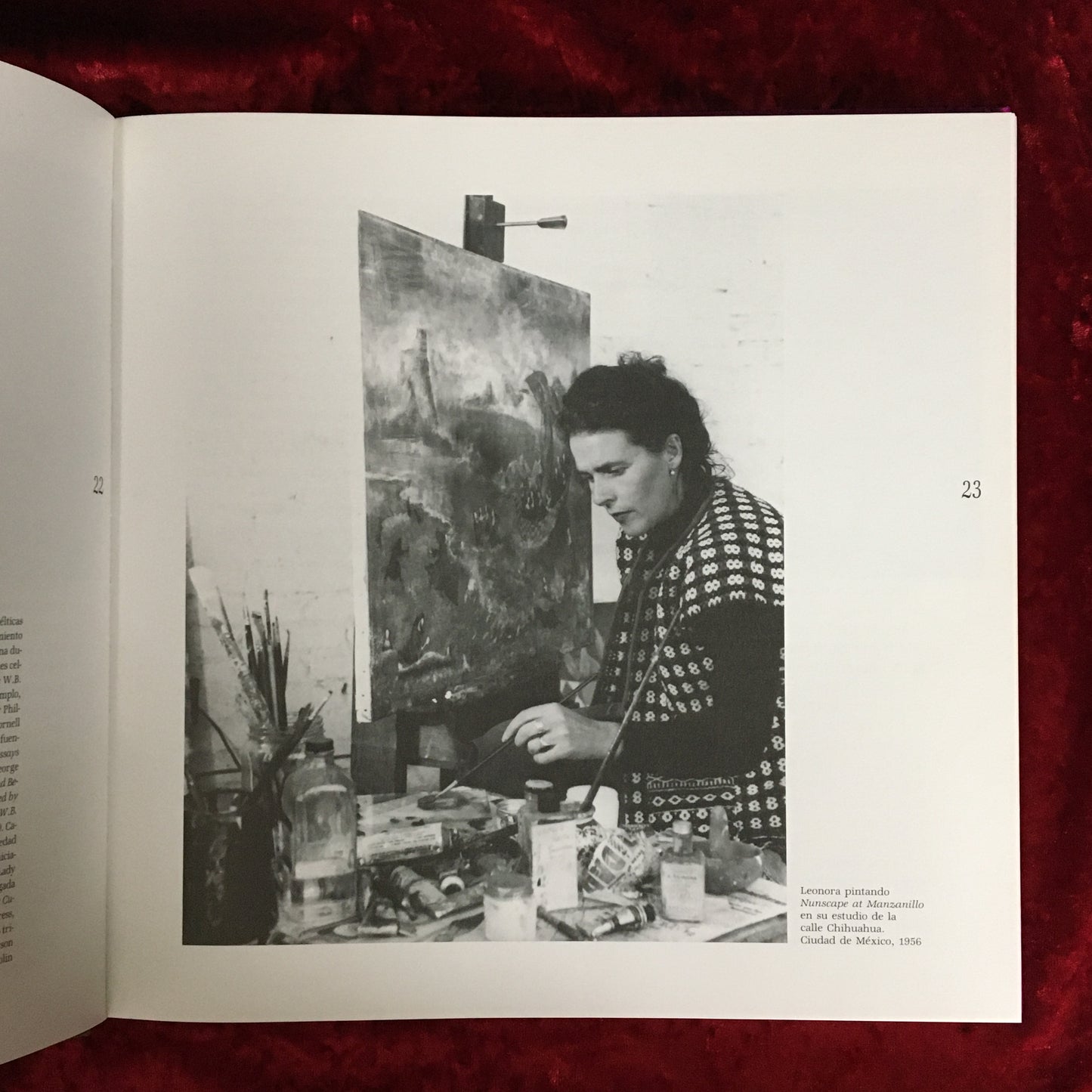 Leonora Carrington LA REALIDAD DE LA IMAGINACION 著:Whitney Chadwick レオノーラ・キャリントン 洋書