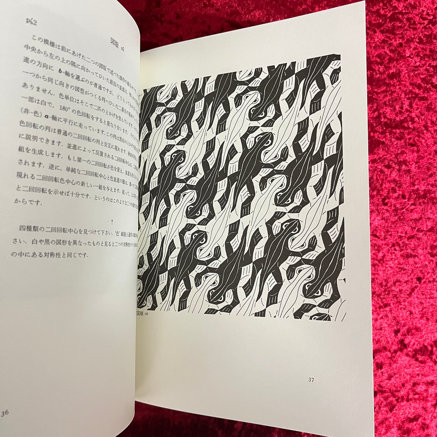 エッシャー<シンメトリーの世界> <サイエンス叢書 P-2>