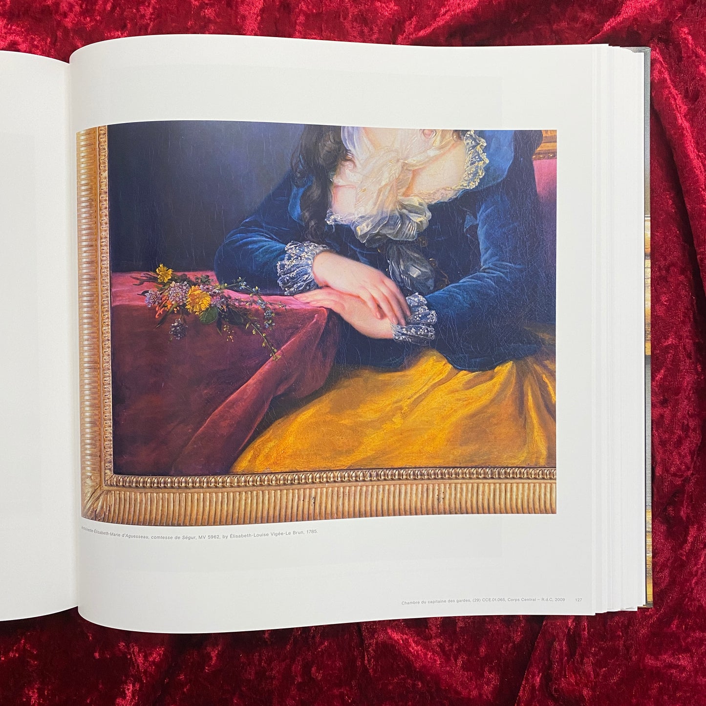 Parcours Muséologique Revisité 洋書 ロバート・ポリドリ