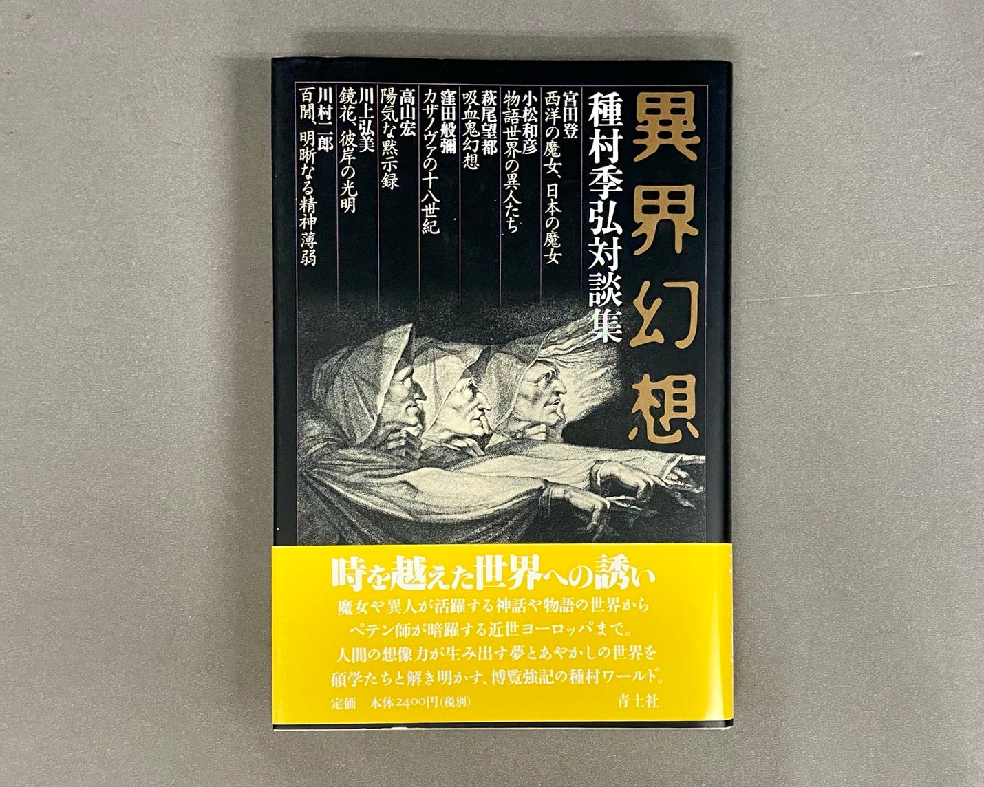 異界幻想 : 種村季弘対談集