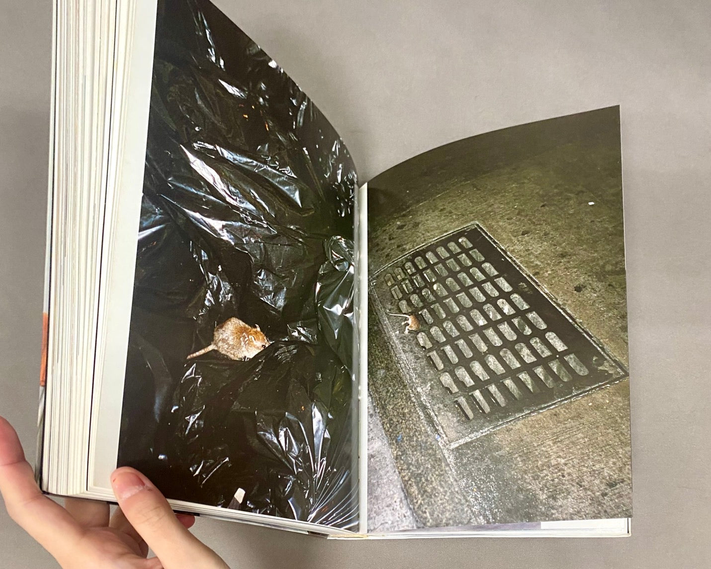 Wolfgang Tillmans ヴォルフガング・ティルマンズ 編集:ブルクハルト・リームシュナイダー