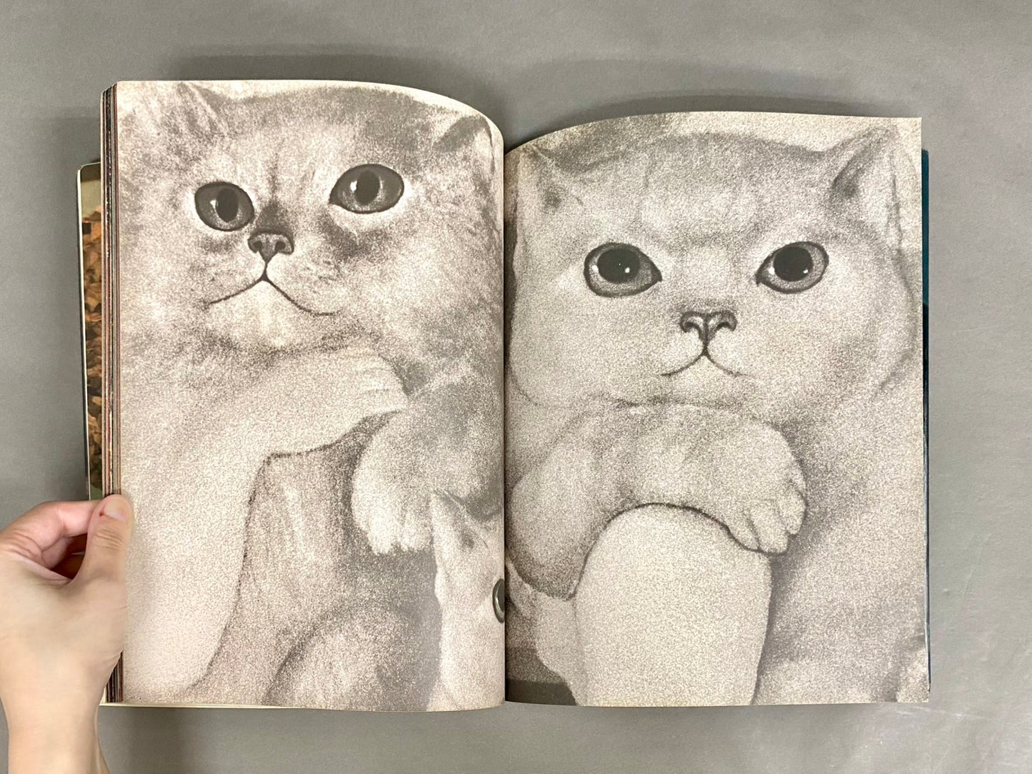 Leonor Fini レオノール・フィニ