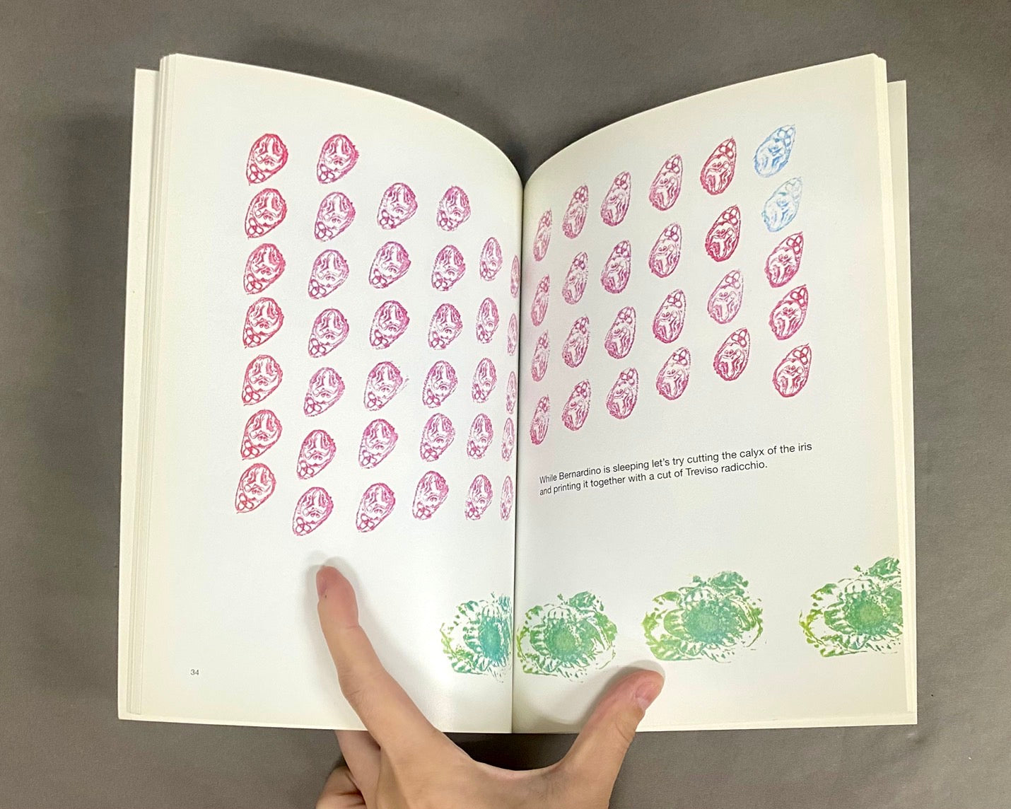 roses in the salad 「サラダのバラ」ブルーノ・ムナーリ 洋書