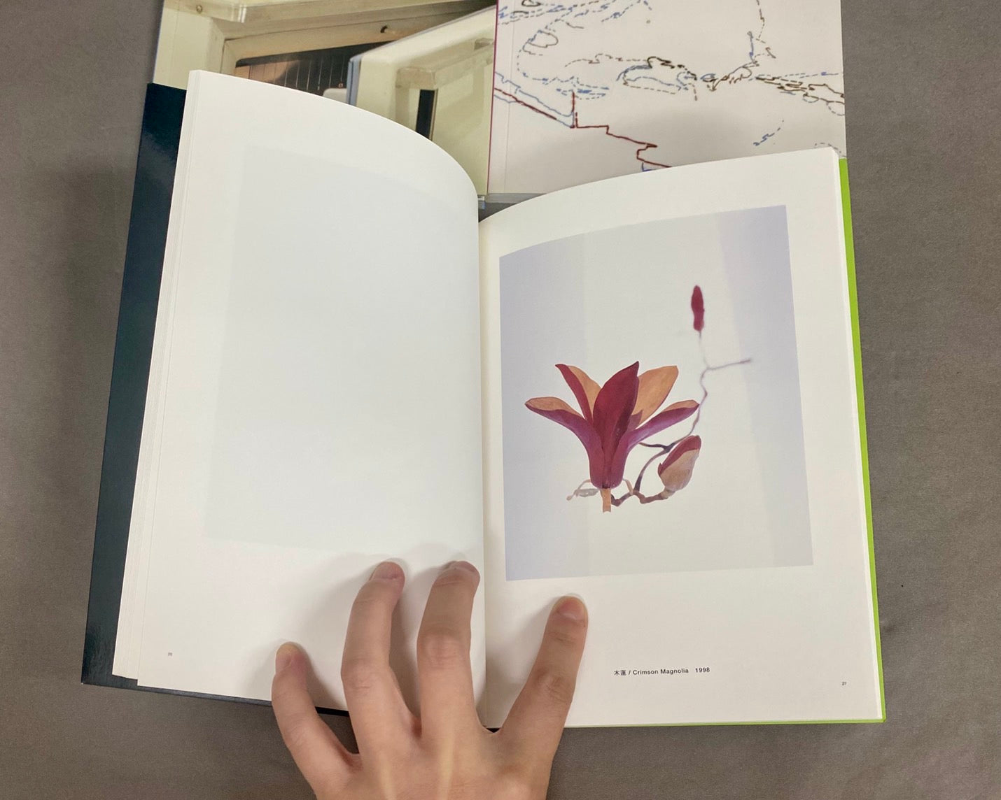 三つの個展 伊藤存×今村源×須田悦弘