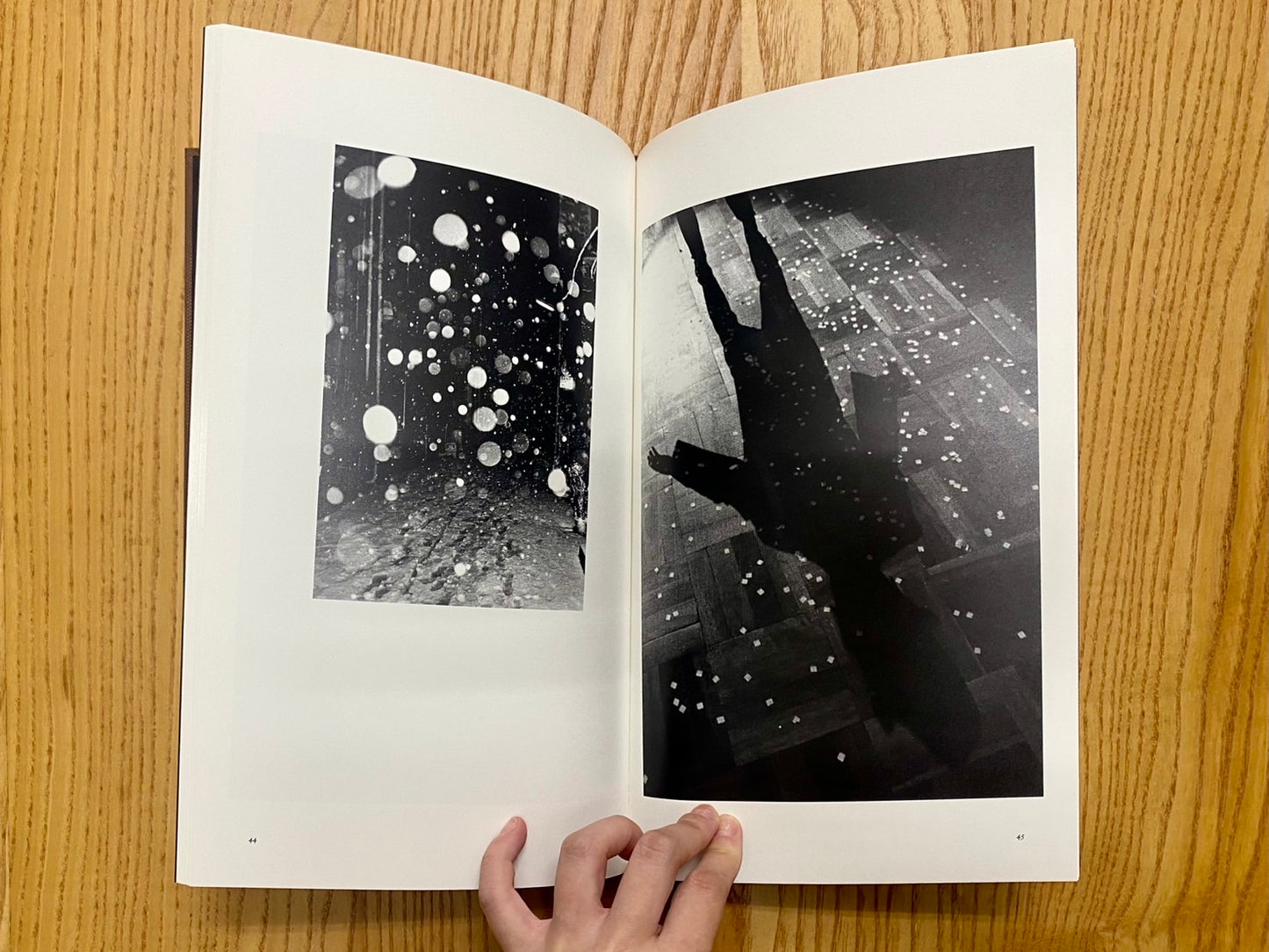 Daido Moriyama : sunflower <MMM> 森山大道写真集 署名本