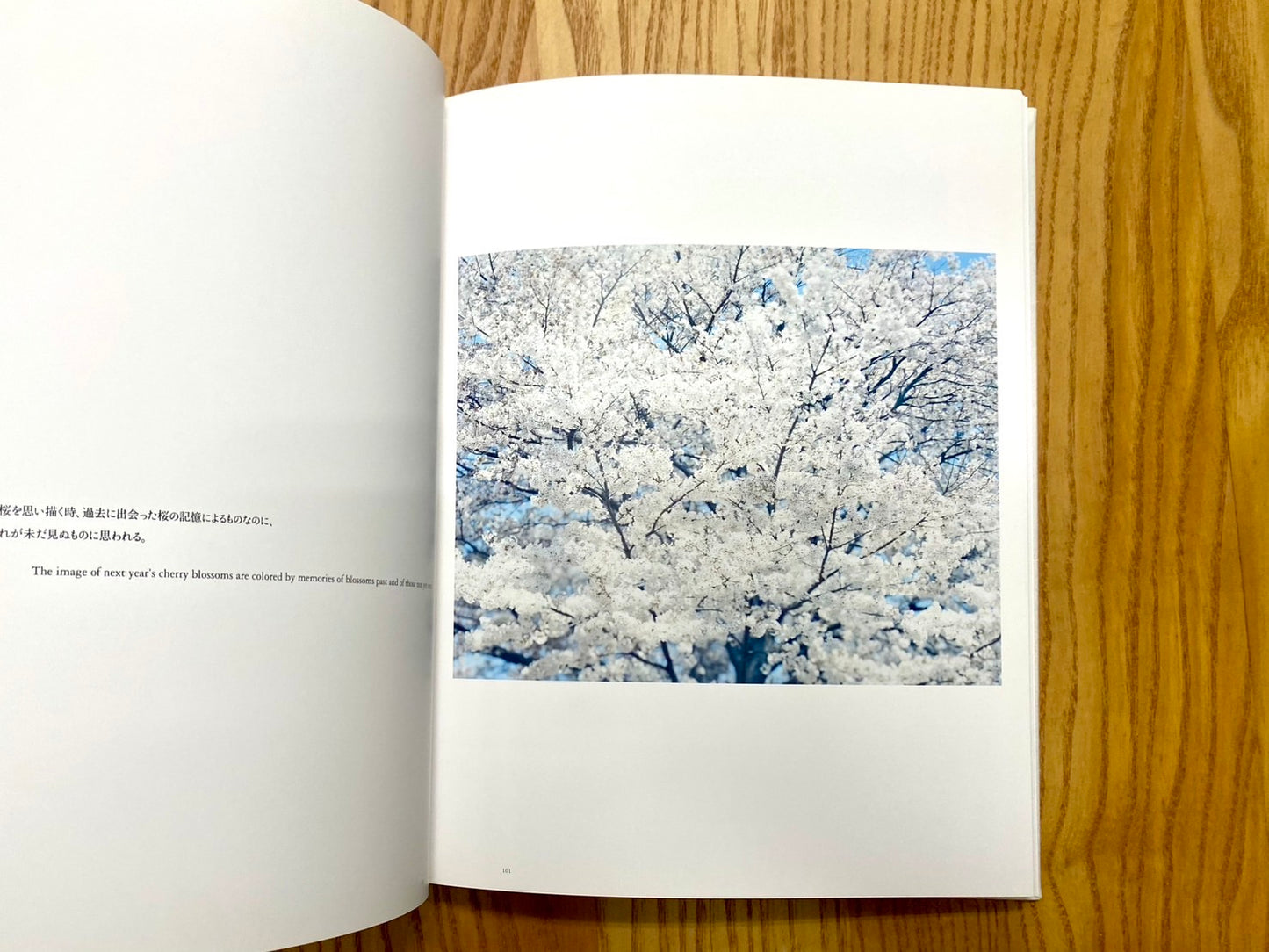 意識の流れ 鈴木理策写真集 署名本