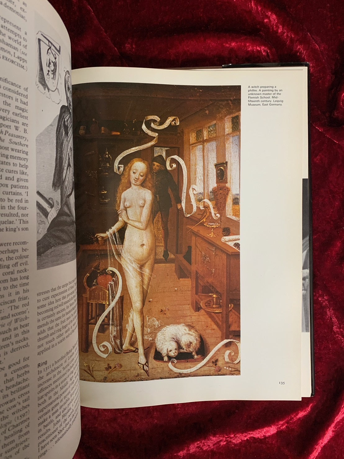 The encyclopedia of witchcraft & magic