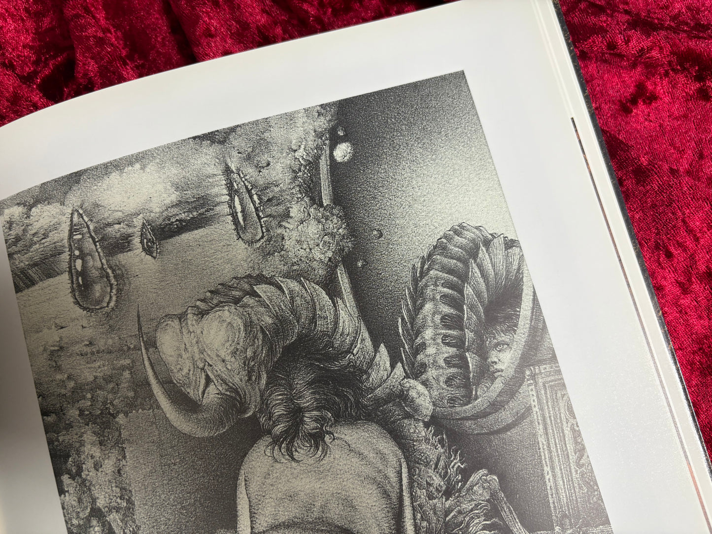 DESSEINS 著:GERARD GACHET ジェラール・ガシェ 洋書