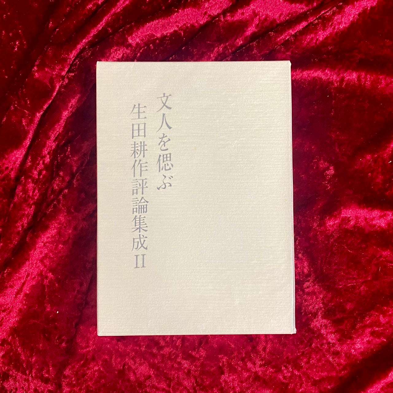 文人を偲ぶ:生田耕作評論集成 2 生田耕作