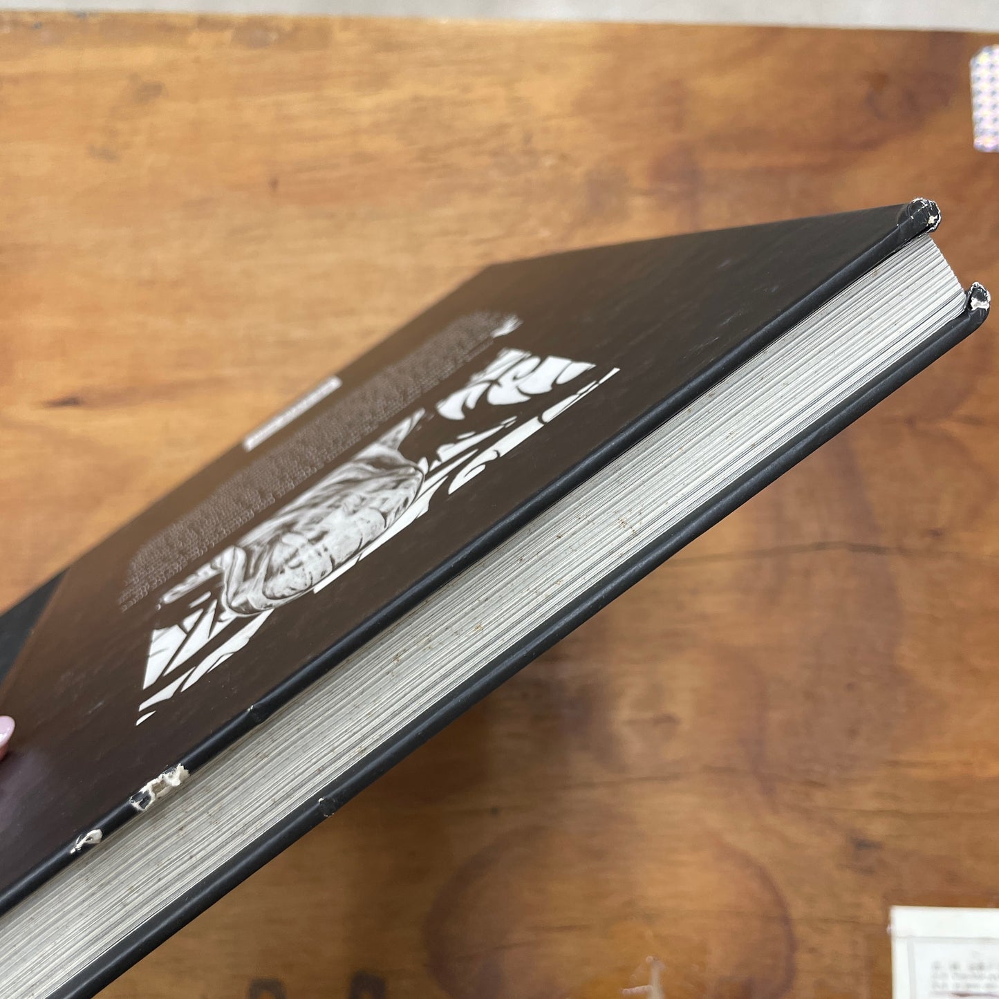 Ghosthunter : A Journey Through Haunted France 洋書 サイモン・マースデン Simon Marsden