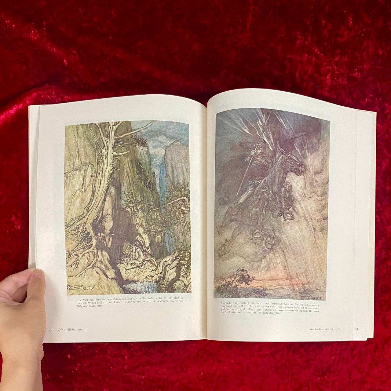 Arthur Rackham's Color Illustrations for Wagner's "Ring" アーサーラッカム 洋書