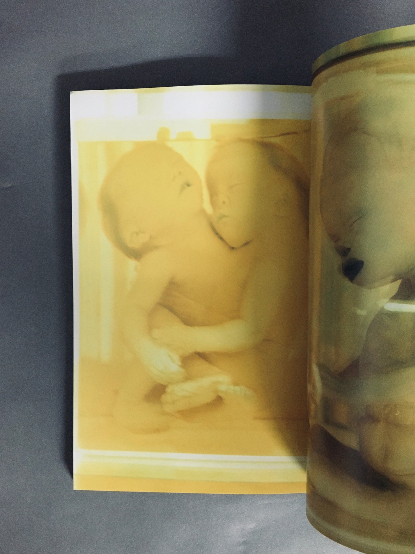 TOO NEGATIVEー禁じられた絵本 トゥネガティヴ No.6 1995年8月号