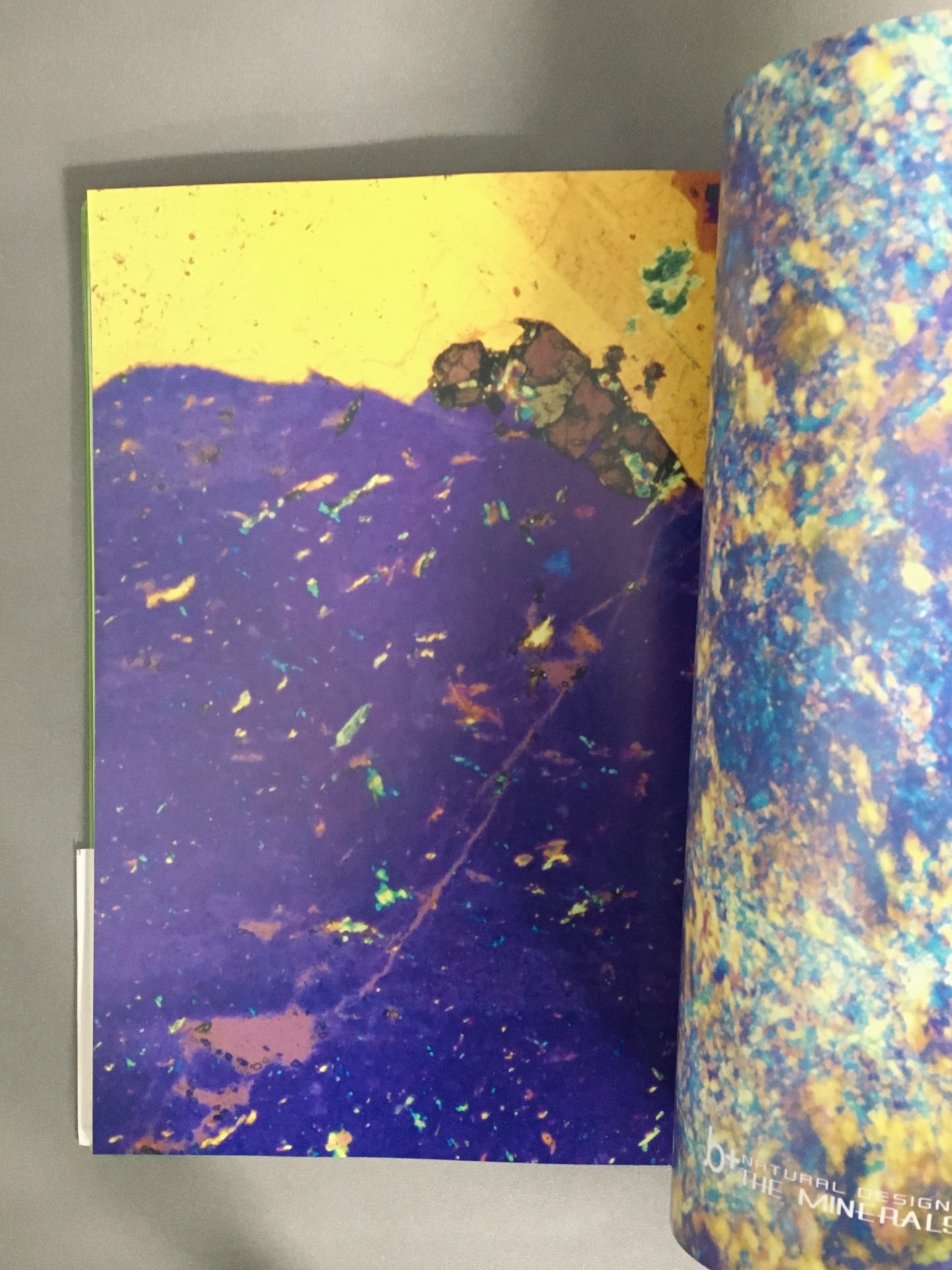 夜想2マイナス2号 特集:ドラッグ Happy Brain!