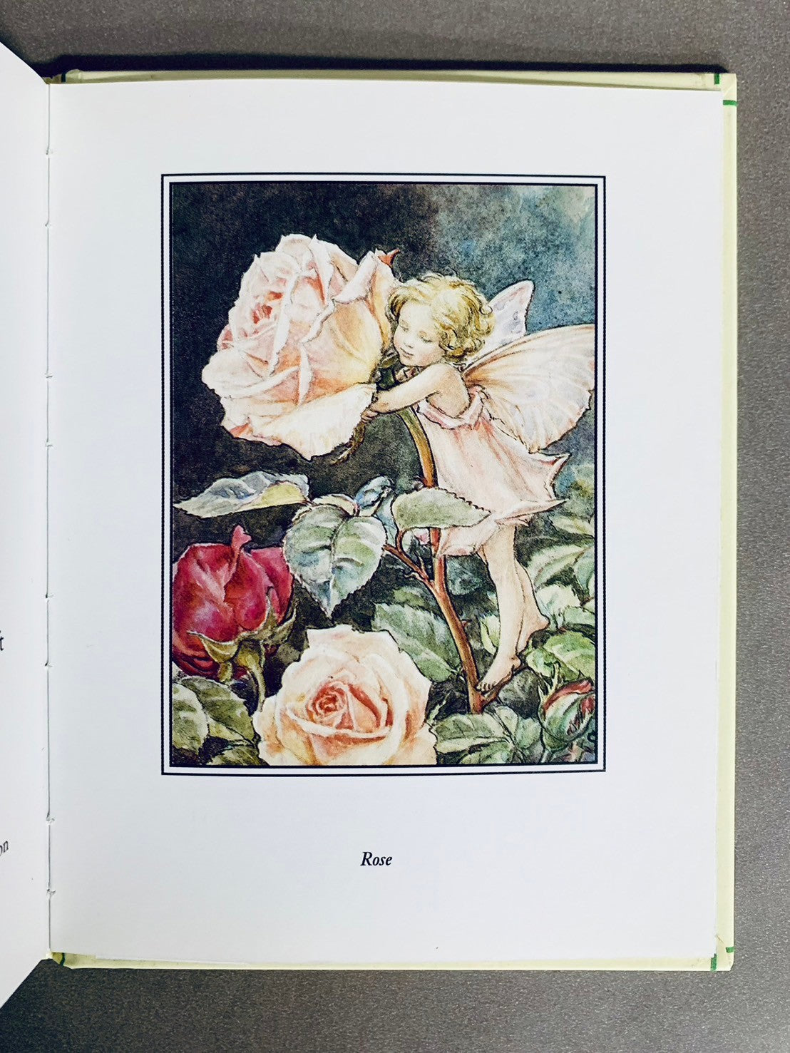 FLOWERS FAIRIES IM SOMMER 著:Cicely Mary Barker 花の妖精 洋書